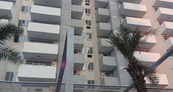 3 BHK Apartment For Resale in Sarvome Shree Homes Sector 45 Faridabad 5093169