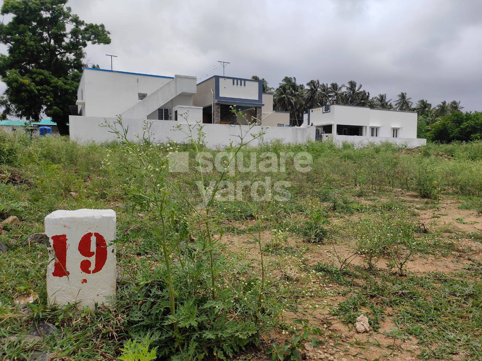 Resale 1995 Sq.Ft. Plot in Malumichampatti Coimbatore 5096139
