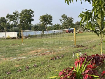 Plot – Nearby View at Bhogapuram - for Sale