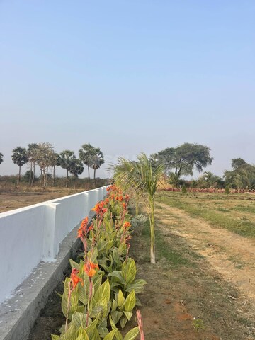  Plot – Garden View at Bhogapuram - for Sale