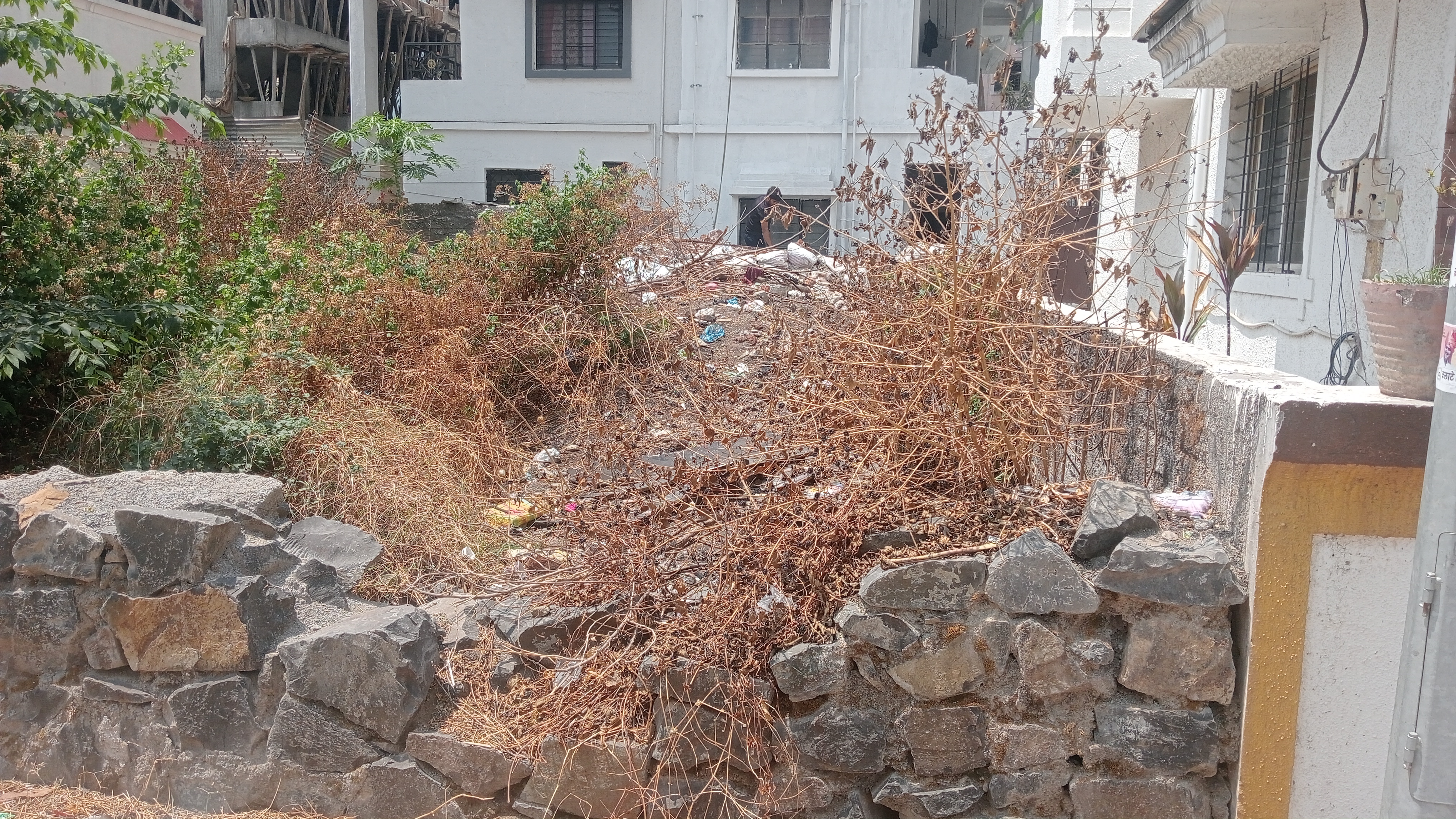 Resale 2000 Sq.Ft. Plot in Rahatani Pune 5118129