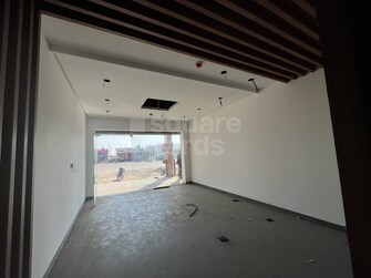 Commercial Showroom 1200 Sq.Ft. For Rent in Sector 82 Mohali  3835602