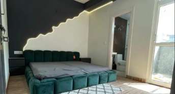 2 BHK Apartment For Rent in Paras Tierea Sector 137 Noida 5159418