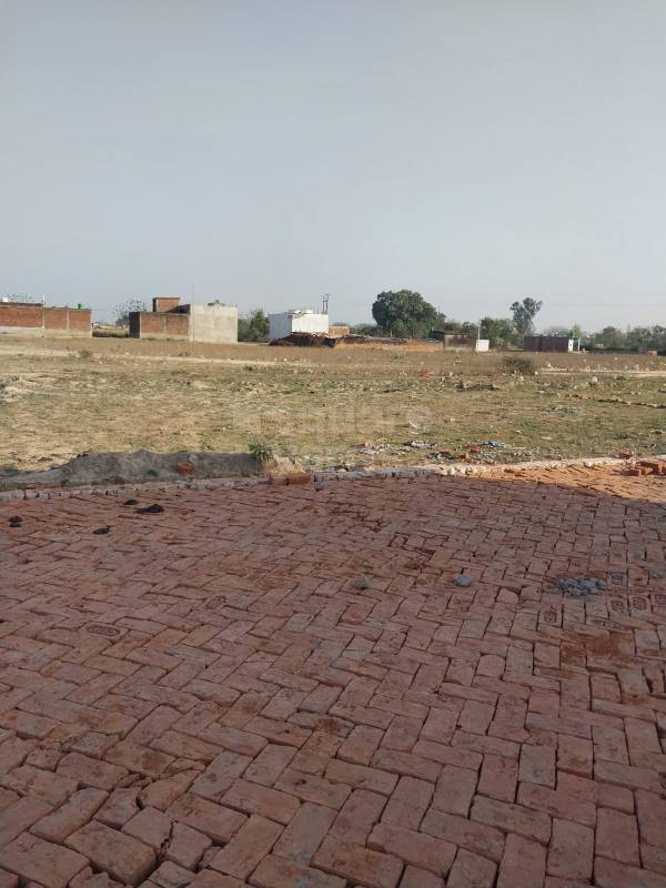 Resale 1003 Sq.Ft. Plot in Kamta Lucknow 5172931