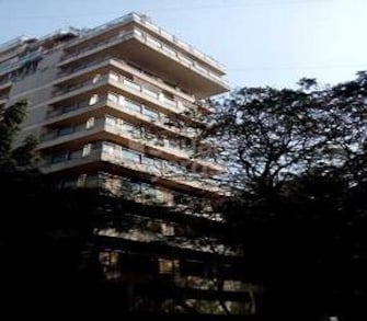 3 BHK Apartment For Rent in Juhu Trishul Juhu Mumbai  5173703