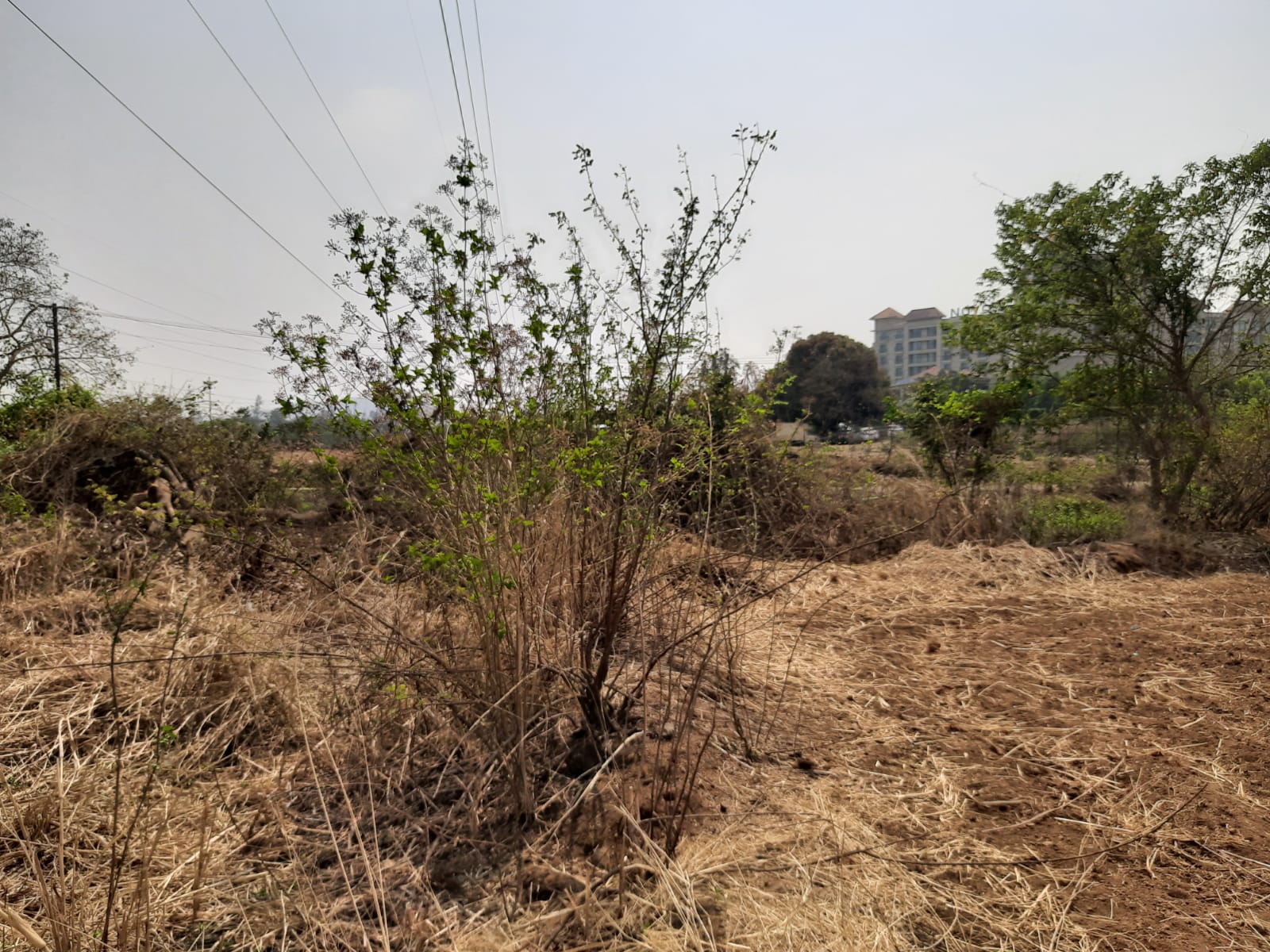 150+ Property for Sale Near Indira Gandhi Hospital, Uran Navi Mumbai