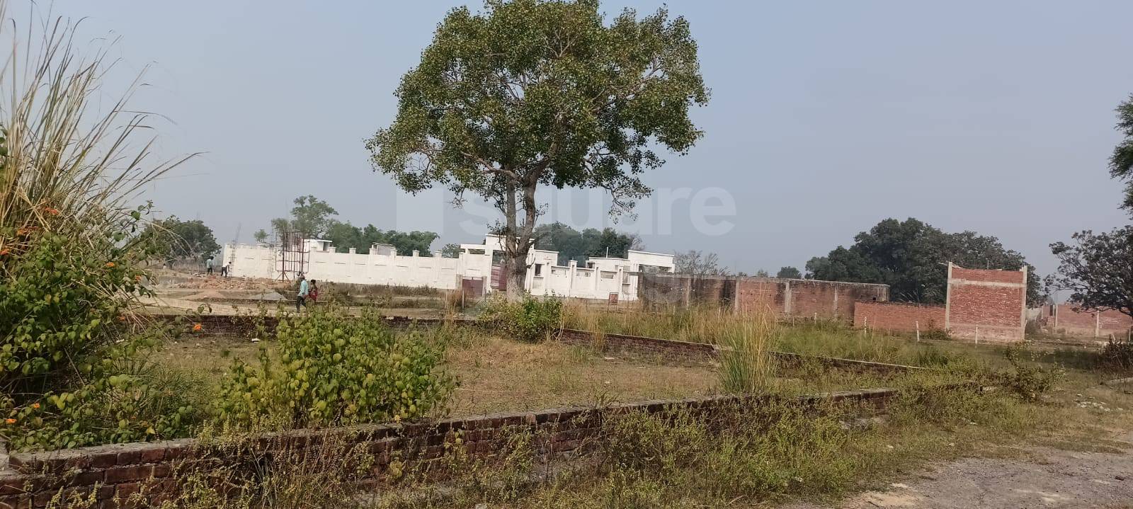 Resale 3000 Sq.Ft. Plot in Bijnor Road Lucknow 5181902