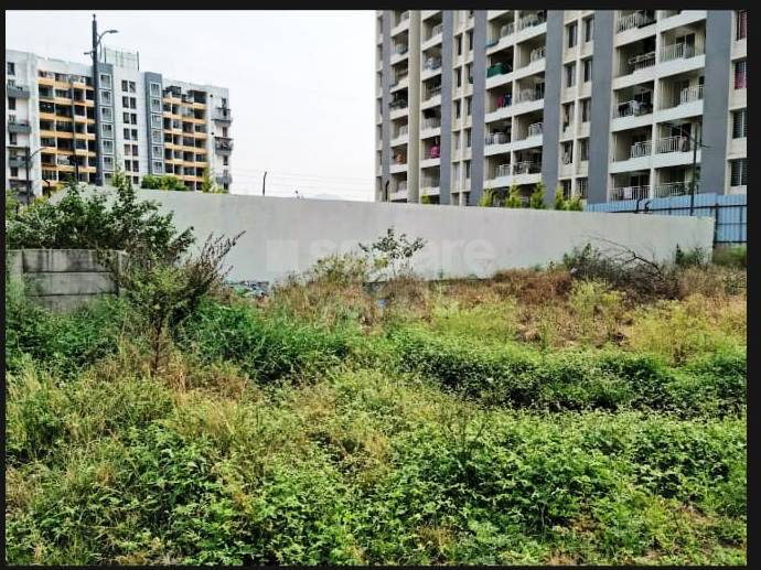 Resale 6000 Sq.Ft. Plot in Pisoli Pune 5187748