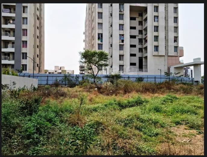 Resale 6000 Sq.Ft. Plot in Pisoli Pune 5187748