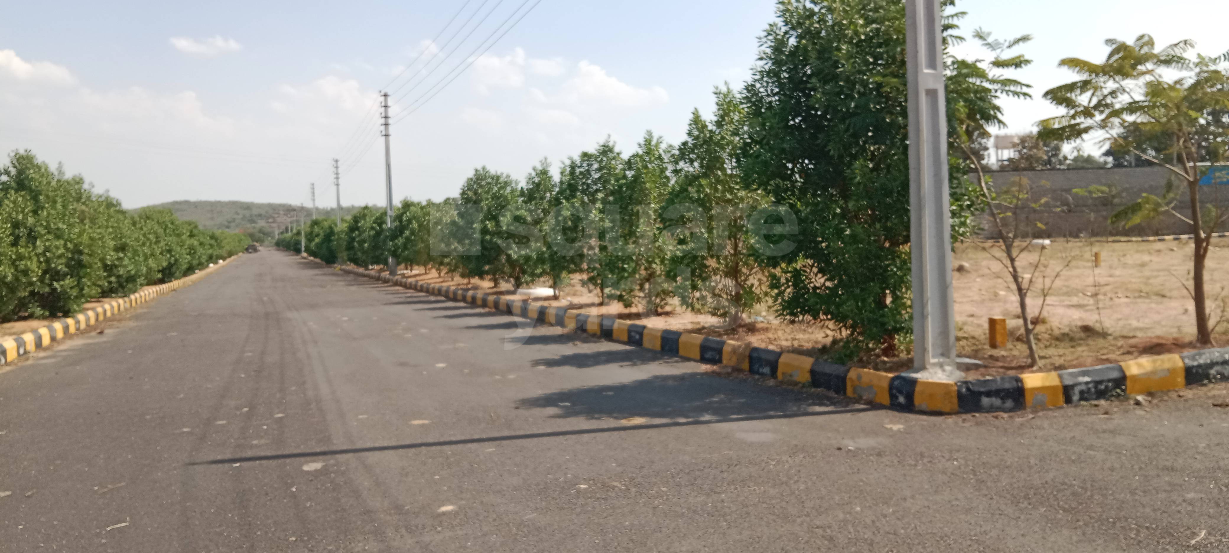 Resale 200 Sq.Yd. Plot in Narsingi Hyderabad 5188519