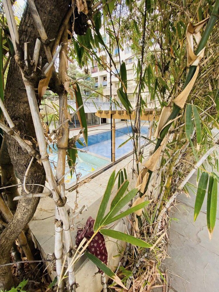 Swimming Pool, dsk-garden-enclave 3 Bedroom 1800 Sq.Ft. Apartment In Kondhwa Pune 5188672