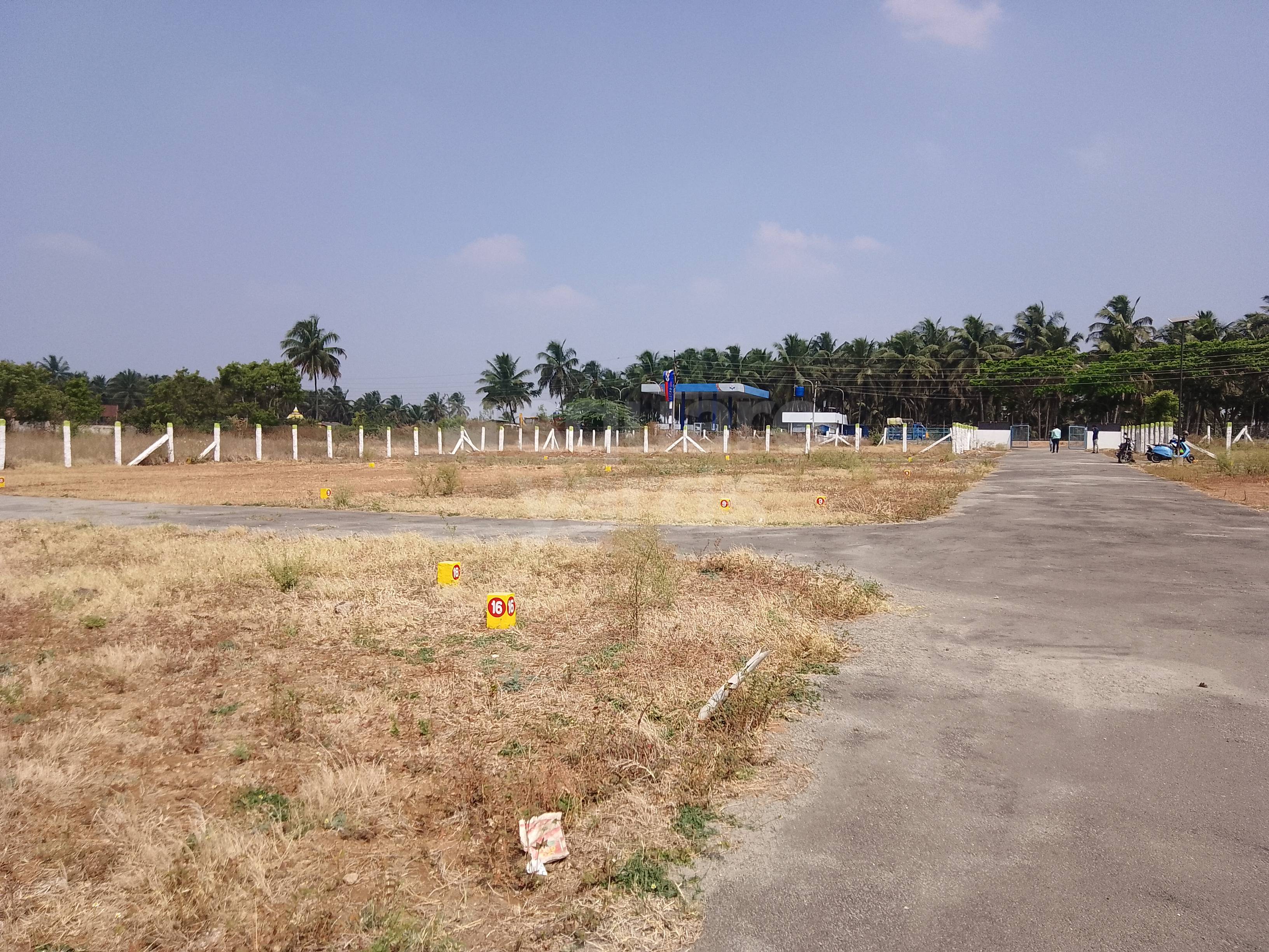 Resale 1563 Sq.Ft. Plot in Kinathukadavu Coimbatore 5139784