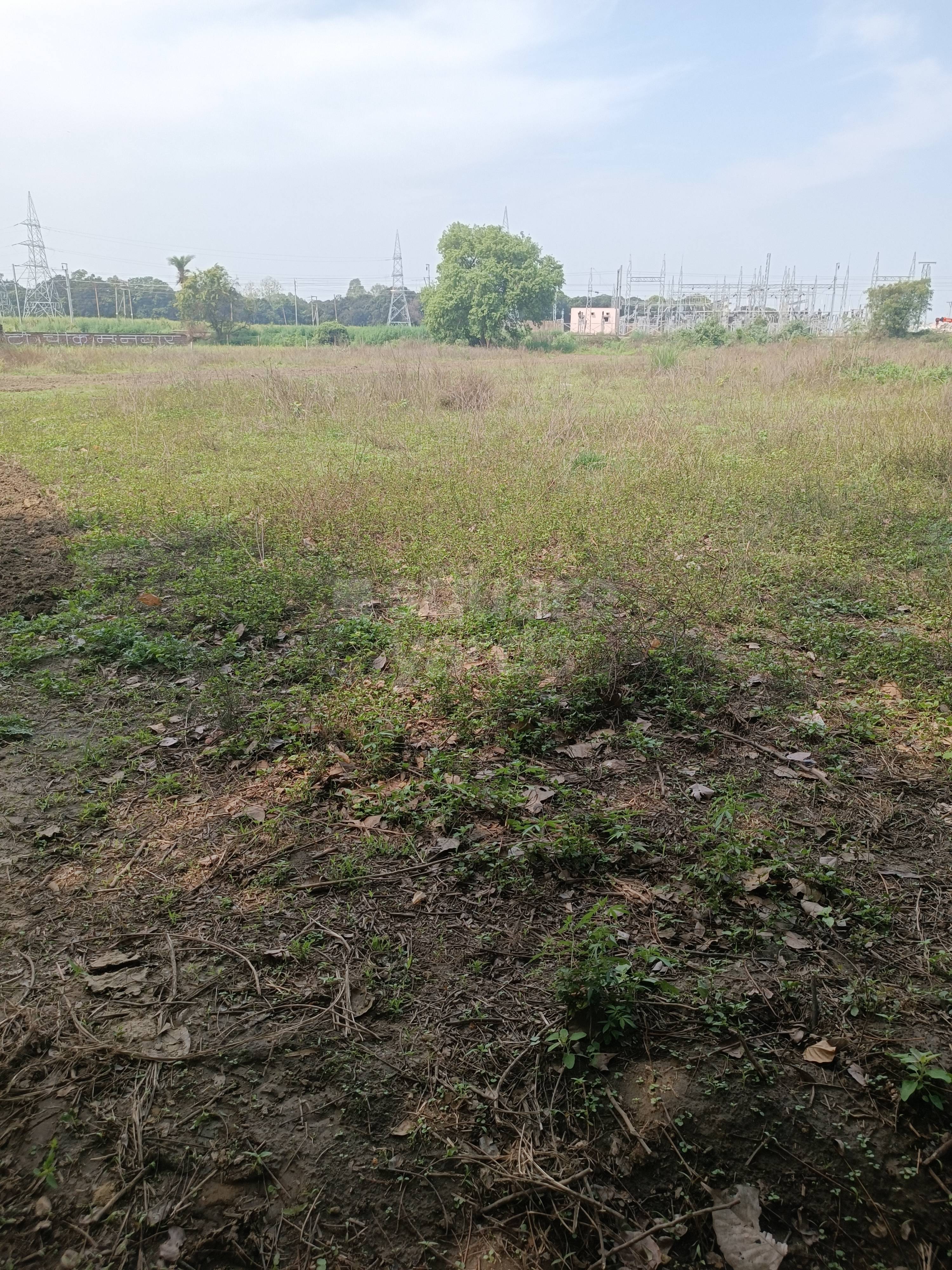 Resale 1700 Sq.Ft. Plot in Saket Meerut 6170926