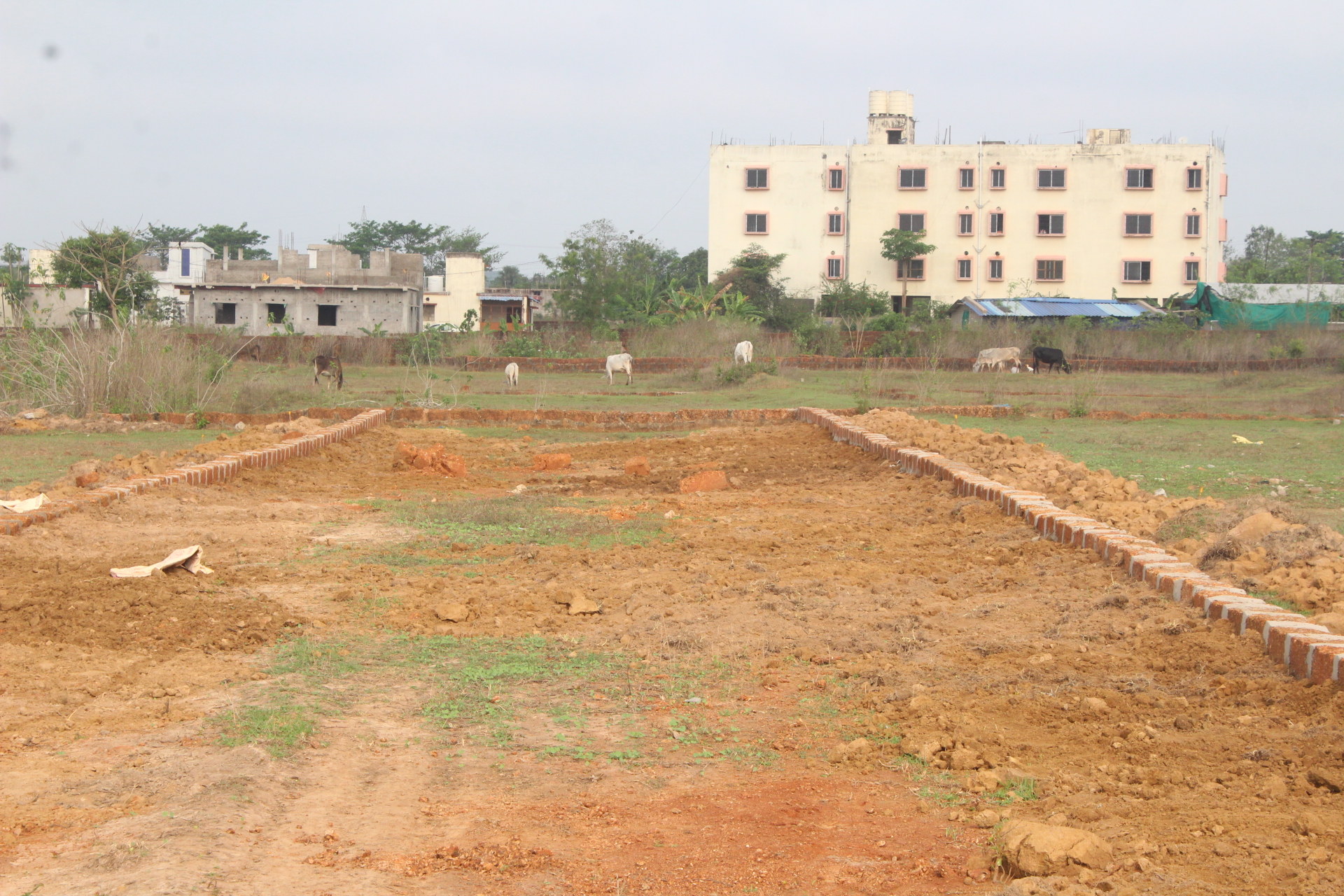 Resale 1200 Sq.Ft. Plot in Kateni Square Bhubaneswar 5195590