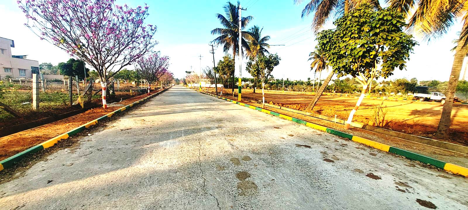 Resale 900 Sq.Ft. Plot in Chandapura Anekal Road Bangalore 5238206