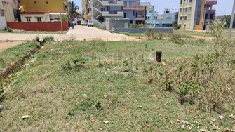 Plot For Resale in Anchepalya Bangalore  5213146