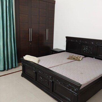 Room in 3 BHK Apartment at Orchid Petals, Sector 49 – for Rent
