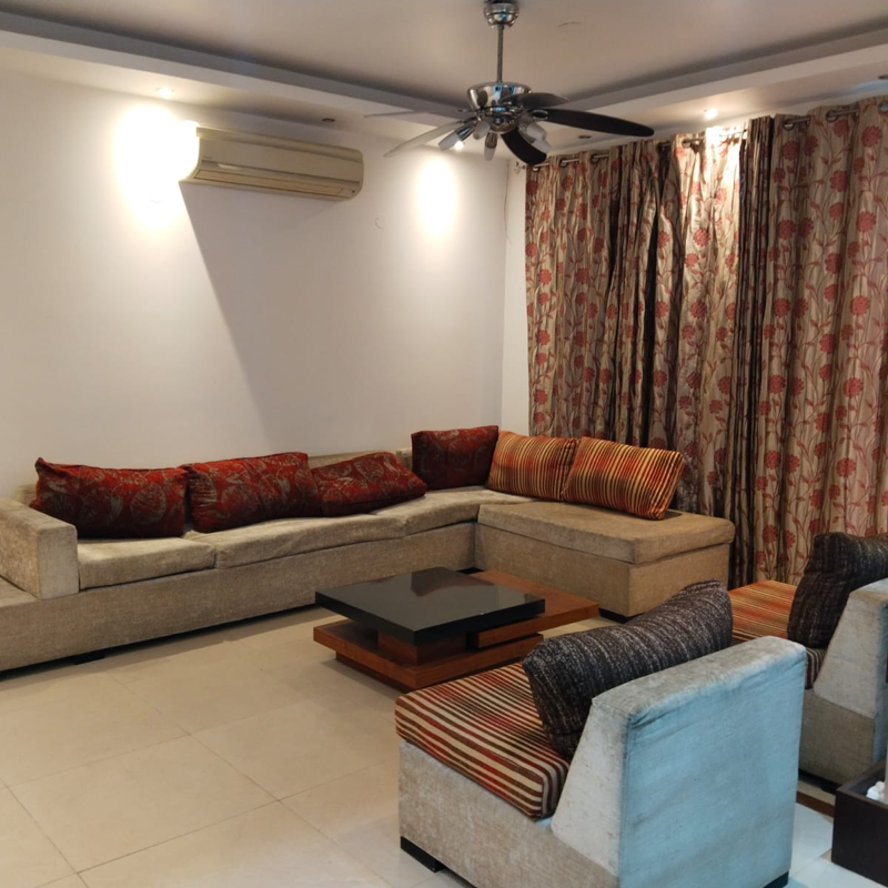 3 BHK Apartment For Rent in Orchid Petals