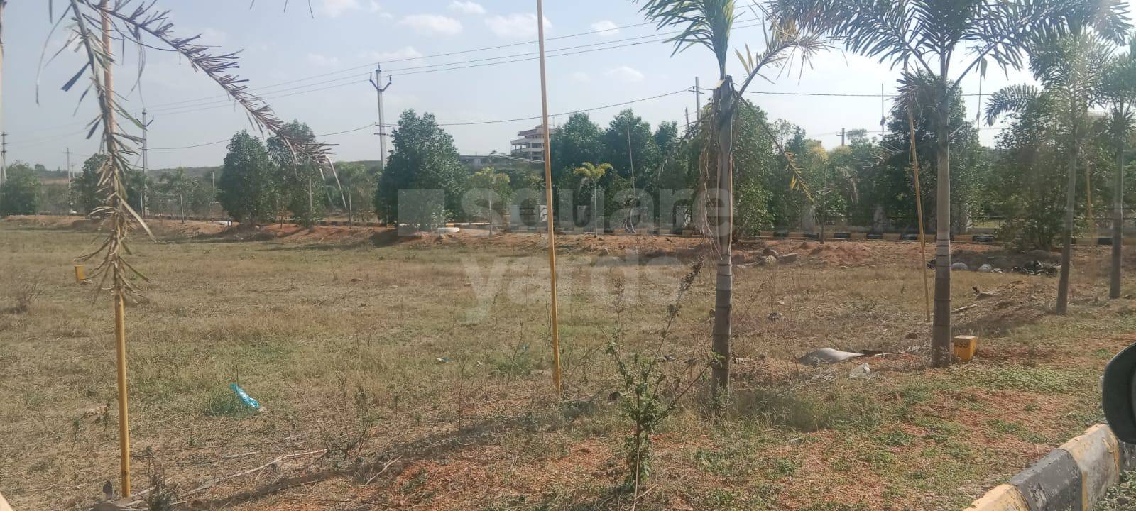 Resale 200 Sq.Yd. Plot in Dollar Hills Hyderabad 5216428