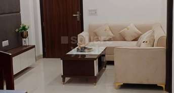 3 BHK Apartment For Resale in Dwarka Sector 16 Delhi 5227031