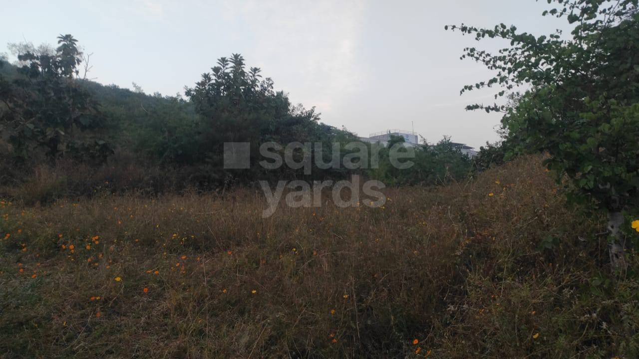 Resale 1530 Sq.Ft. Plot in Shapoorji Pallonji Vanaha Springs, Bavdhan