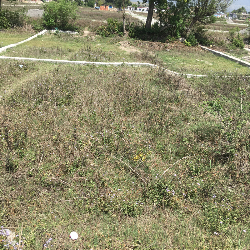 Resale 100 Sq.Yd. Plot in Jolly Grant Dehradun 5242546