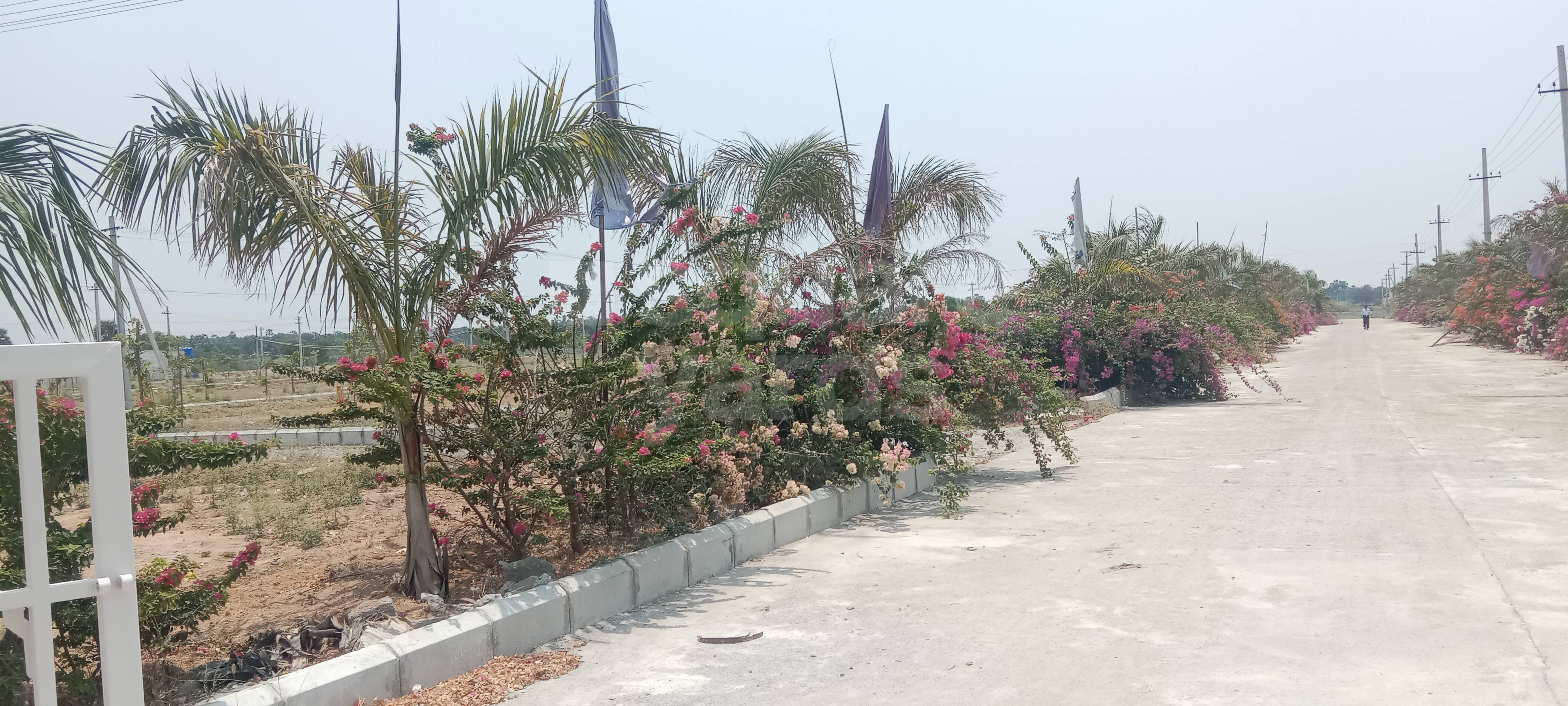 Resale 180 Sq.Yd. Plot in Narsingi Hyderabad 5256545