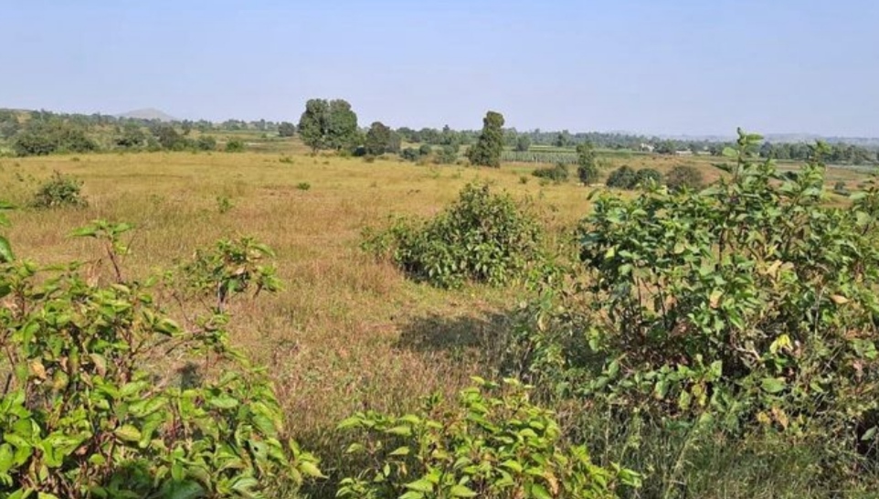 Plot for Sale in Juhapura, Ahmedabad Under 20 Lakhs