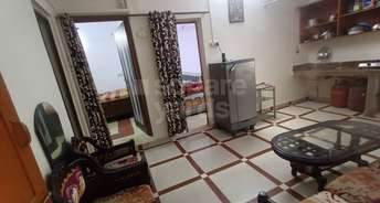 3 BHK Apartment For Rent in RWA Pocket B Dilshad Garden Dilshad Garden Delhi 5274705