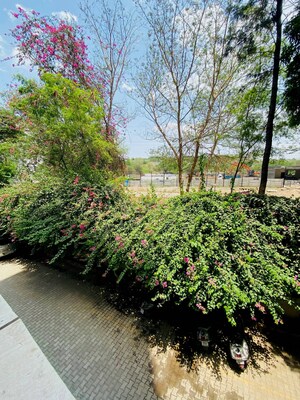 2 BHK Apartment – Nearby View at DSK Garden Enclave, Kondhwa - for Rent