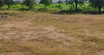 Commercial Land 22000 Sq.Ft. For Resale In Punawale Pune 5296787