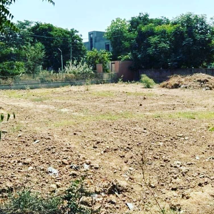 Commercial Land 6200 Sq.Yd. For Resale In Bhadaj Ahmedabad 5297211