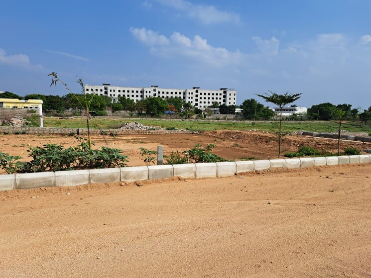 Hmda Villa Plot