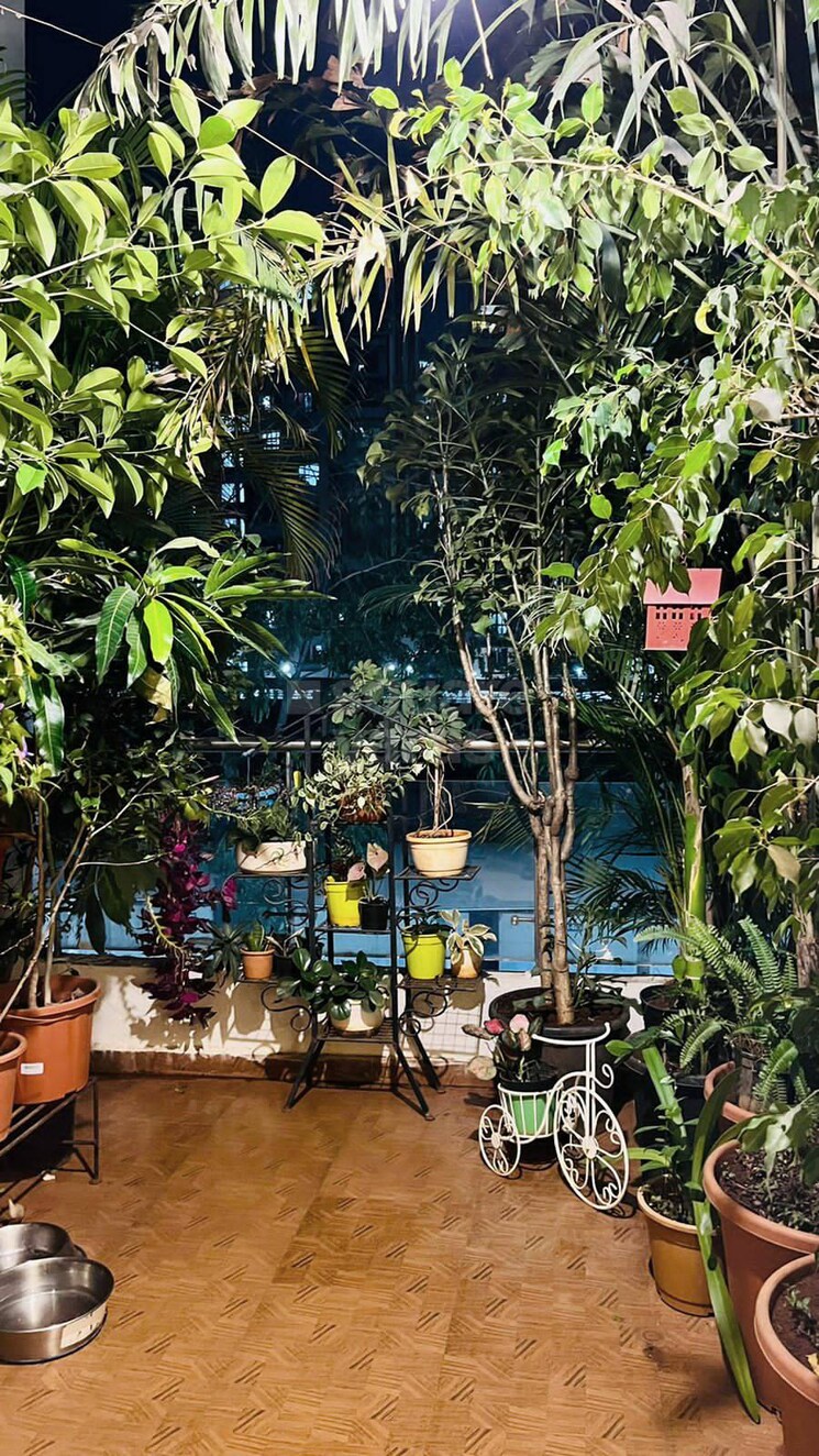 Balcony, rohan-silver-gardenia 2 Bedroom 100 Sq.Ft. Apartment In Ravet Pune 5304940