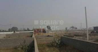  Plot For Resale in Sector 161 Greater Noida 5305689