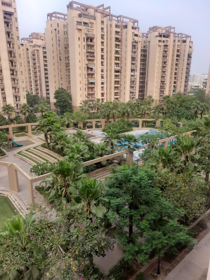 Rental 3 Bedroom 2061 Sq.Ft. Apartment in Orchid Petals, Sector 49