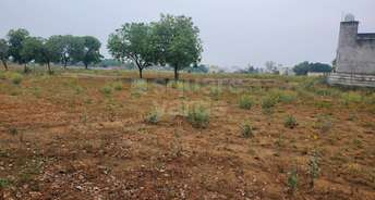 Commercial Land 12 Acre For Resale In Sector 95a Gurgaon 5309616
