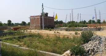  Plot For Resale in Noida Ext Sector 3 Greater Noida 5310535