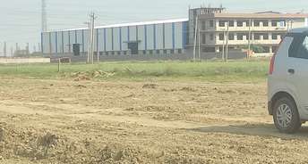 Commercial Industrial Plot 700 Sq.Yd. For Resale In Aali Village Faridabad 5318748