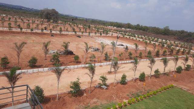 Green Nest Farmland At Sangareddy