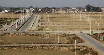  Plot For Resale in Noida Ext Sector 2 Greater Noida 5320420