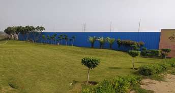  Plot For Resale in Noida Ext Sector 2 Greater Noida 5321103