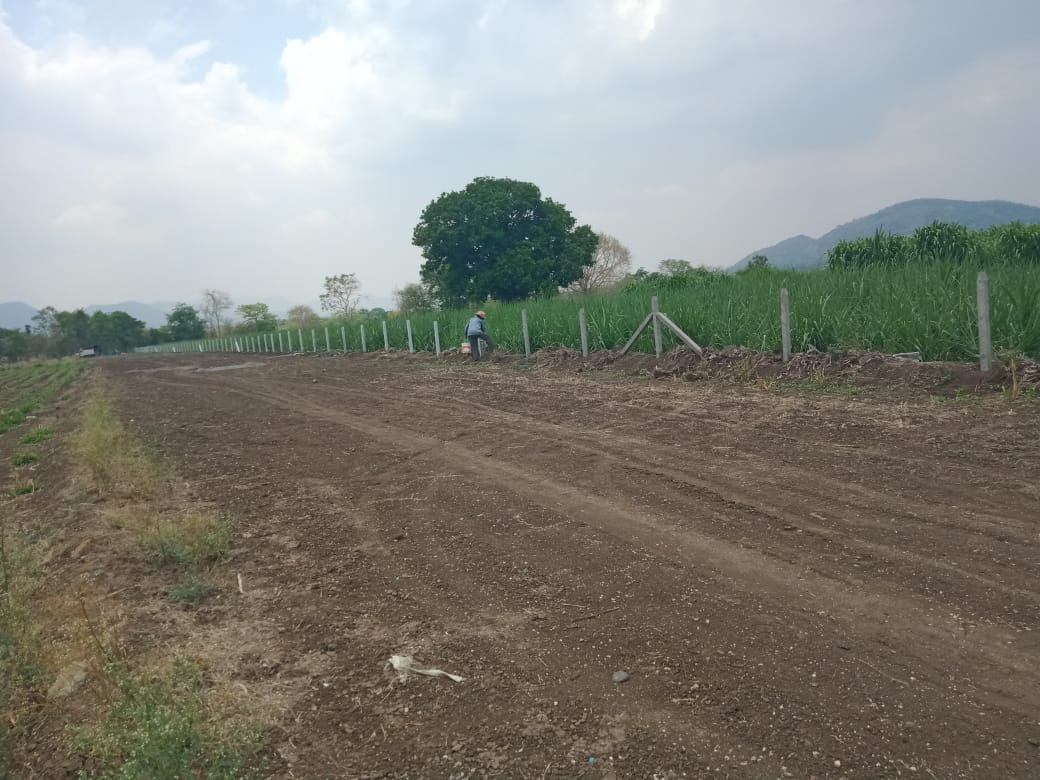 Resale 2250 Sq.Ft. Plot in Kasarsai Pune 5321209