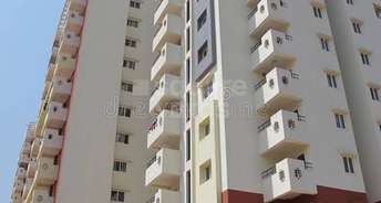 1 BHK Apartment For Resale in Mass Ionics Andheri West Mumbai 5321568