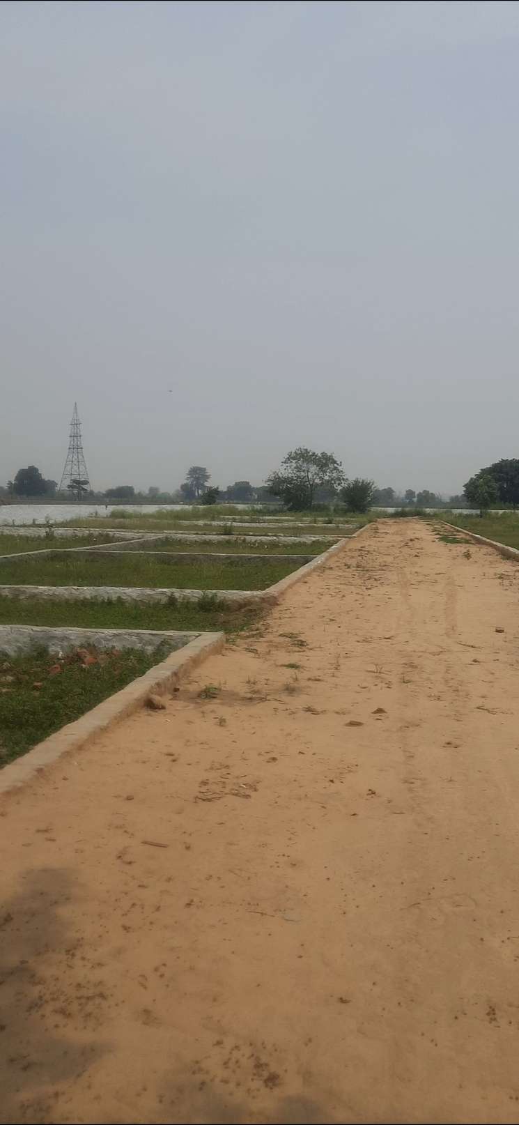 50 Sq.Yd. Plot in Noida Ext Sector 12 Greater Noida