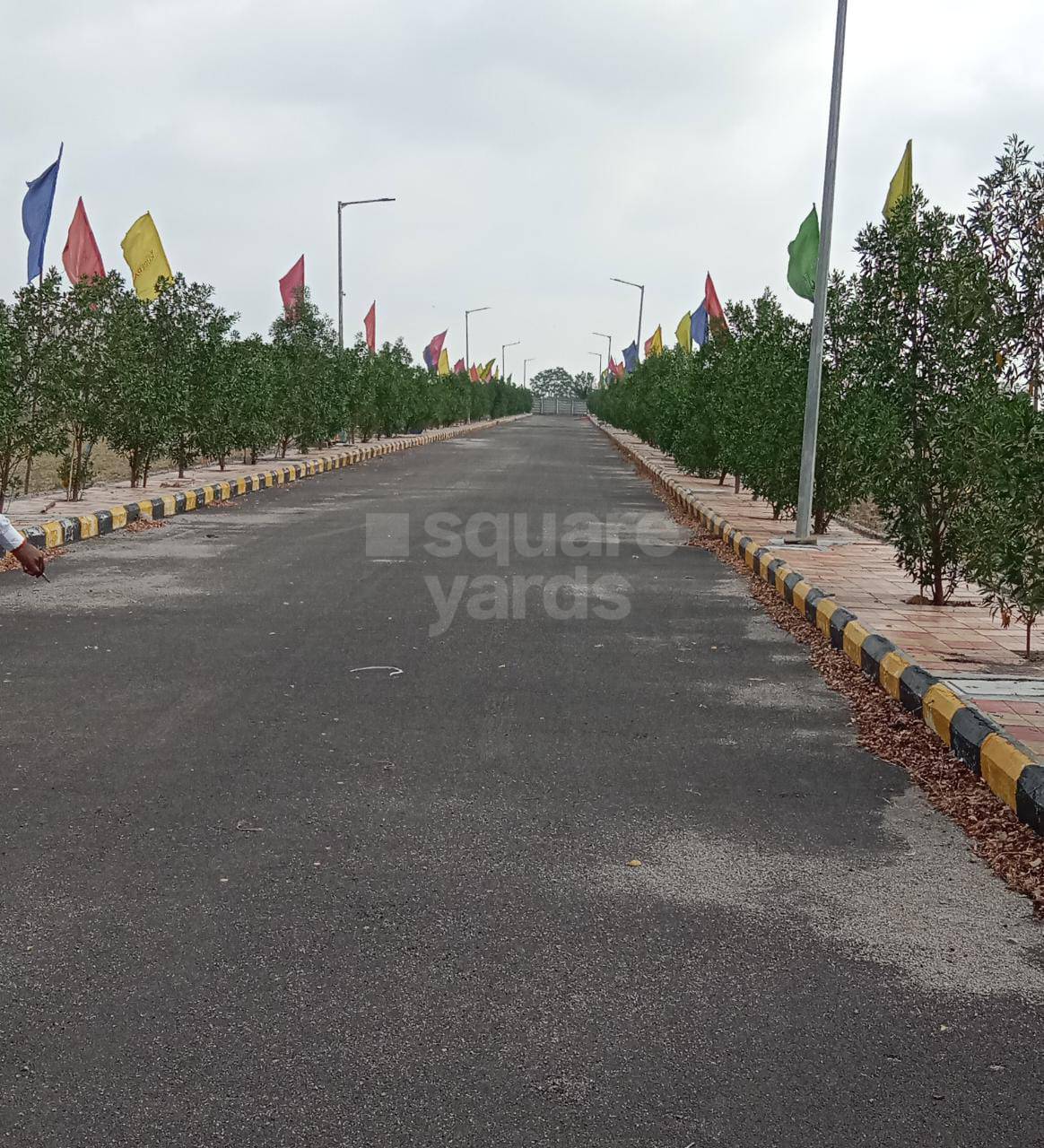 Resale 200 Sq.Yd. Plot in Kismatpur Hyderabad 5322812