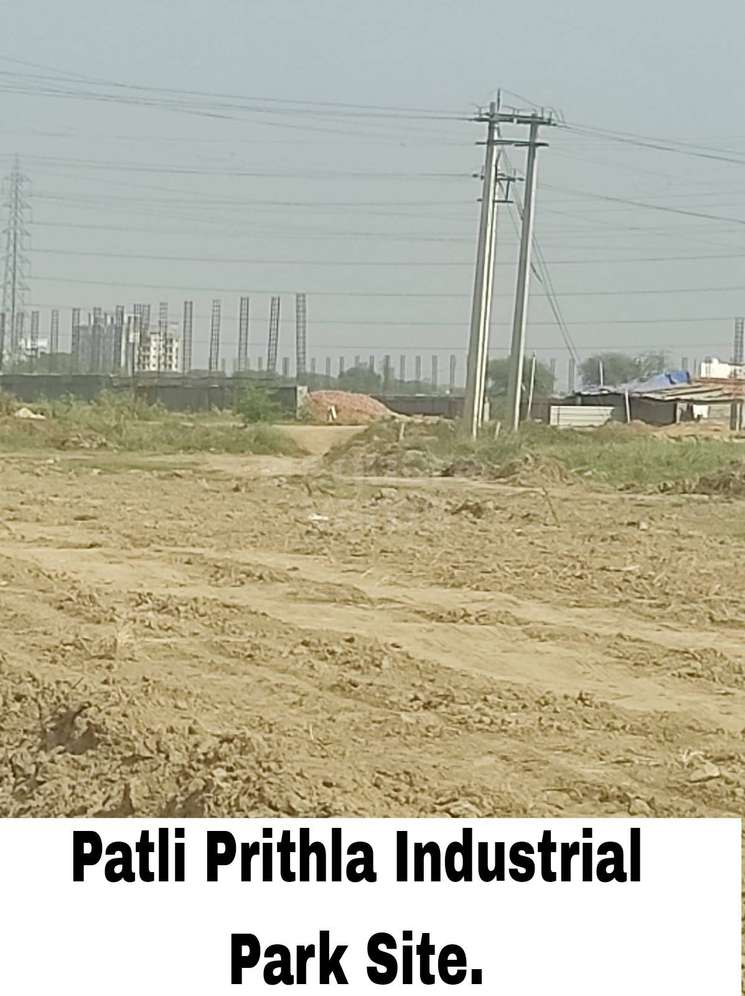 Plots In Prithla Industrial Park Patli