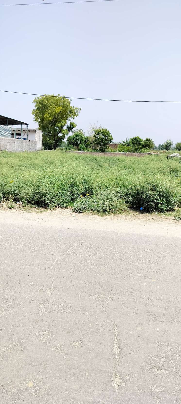 Commercial Land 1200 Sq.Yd. in Dhouj Faridabad