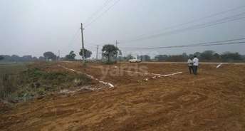  Plot For Resale in Sikri Faridabad 5327185