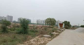 Plot For Resale in Sector 82 Faridabad 5327650